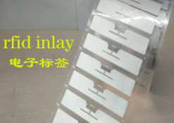 上海泽扬制卡有限公司 产品 RFID Inlay IOTE2020物联网展 苏州站