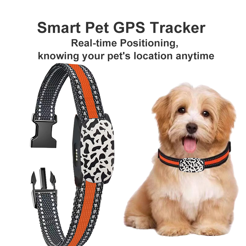 宠物GPS 2.png