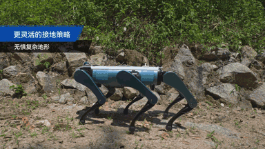 微信图片_20250819141328.gif