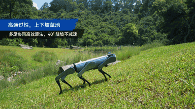 微信图片_20250819141340.gif