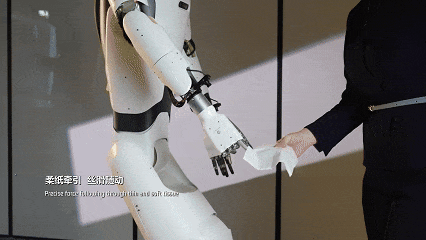 戴盟灵巧手2.gif