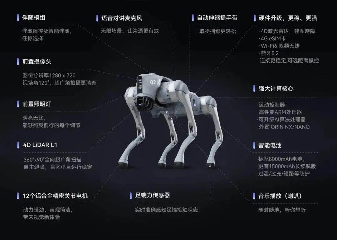 动态图